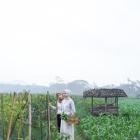 Hotel Balkondes Karanganyar Borobudur Magelang Esterno foto