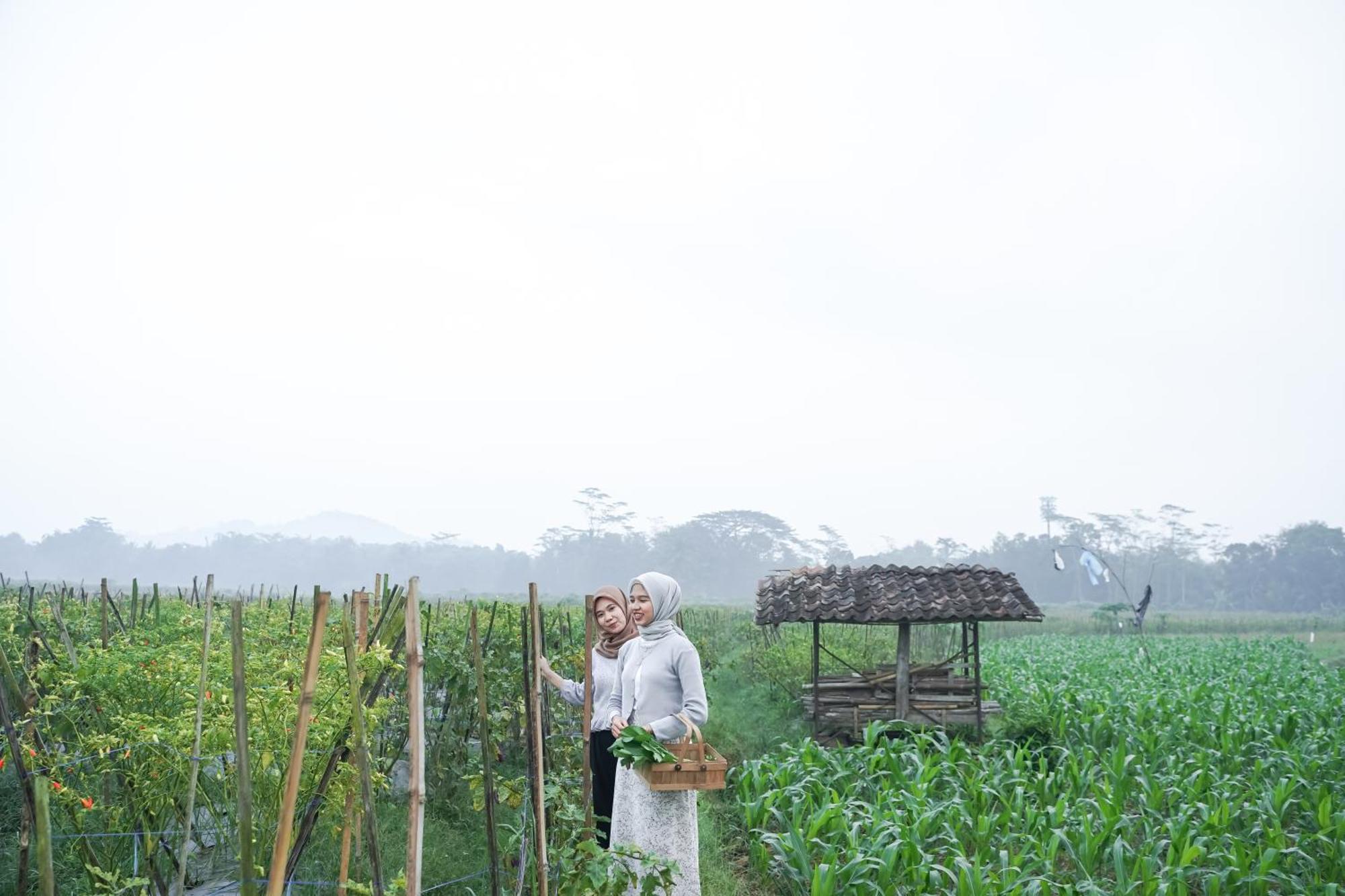 Hotel Balkondes Karanganyar Borobudur Magelang Esterno foto